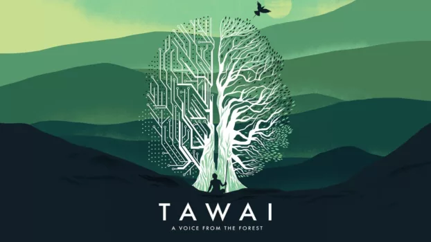 Tawai: A Voice from the Forest