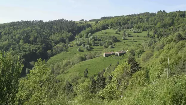 Lucie, après moi le déluge