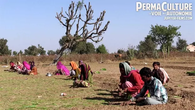 Permaculture, la voie de l'autonomie