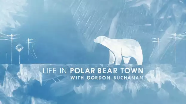 Life in Polar Bear Town with Gordon Buchanan
