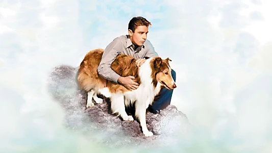 Son of Lassie