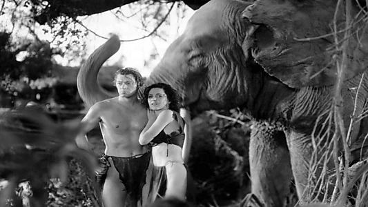 Tarzan Revisited