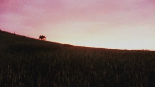 Horizons