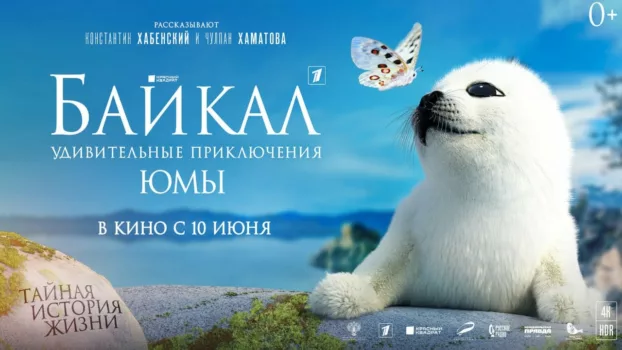 Baikal: The Heart of the World 3D