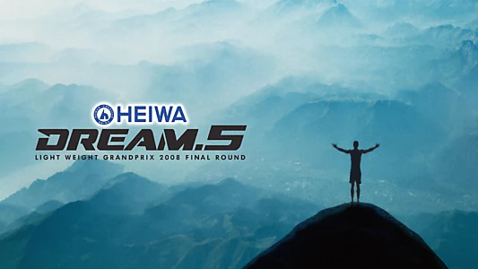 DREAM 5