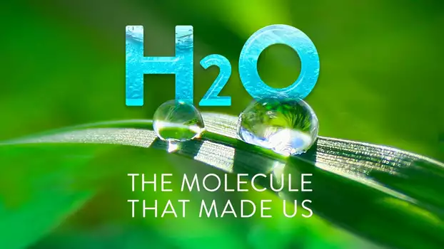 H2O: The Molecule that Made Us