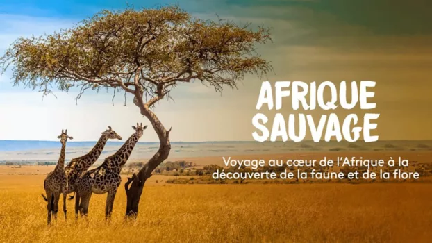 Afrique Sauvage