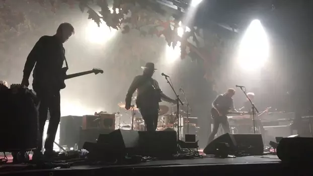 Wilco Live From The Palace Theatre