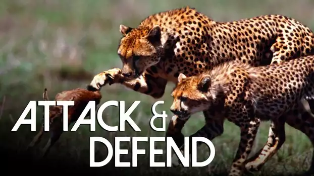 Attack and Defend