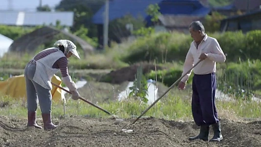 Chernobyl, Fukushima: Living with the Legacy