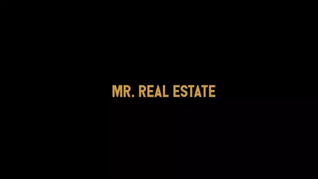 Mr. Real Estate