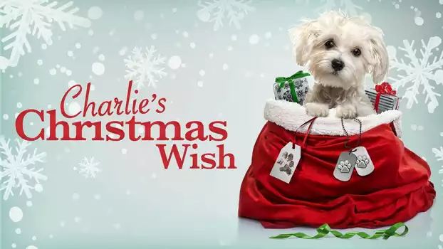 Charlie's Christmas Wish