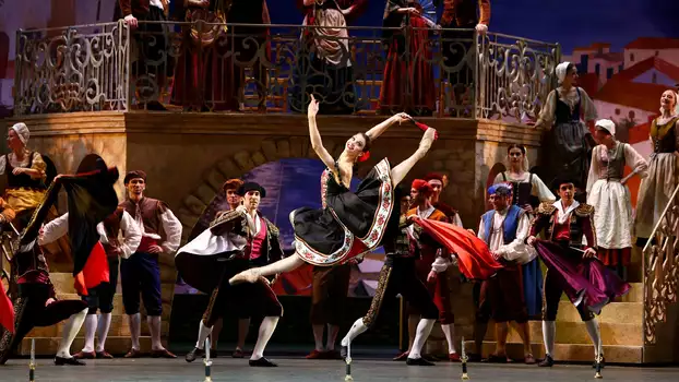Bolshoi Ballet: Don Quixote