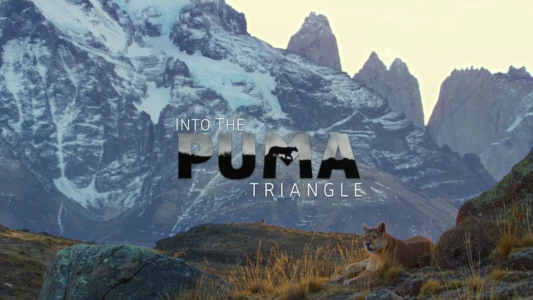 Into the Puma Triangle