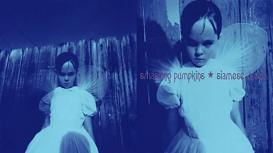 Smashing Pumpkins - Live at the Metro 1993