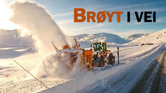 Brøyt i vei