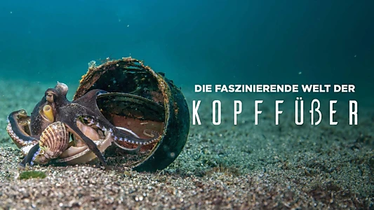 Cephalopods: The Reign of Suckers