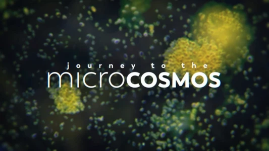 Journey to the Microcosmos