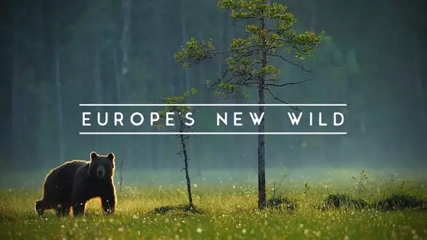 Europe's New Wild