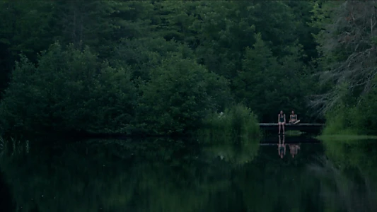 The Pond, at Night