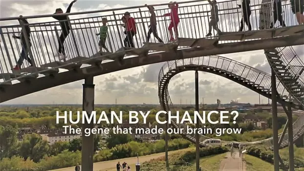 Human By Chance?