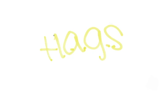 H.A.G.S. (Have a Good Summer)