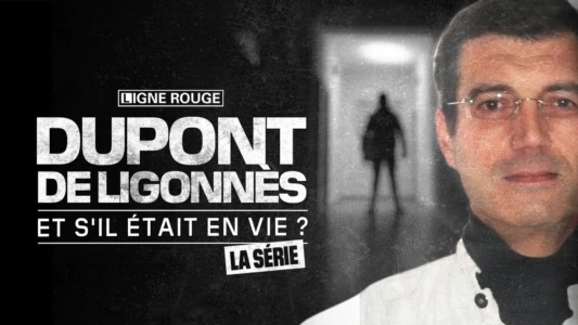 Dupont de Ligonnès, la série