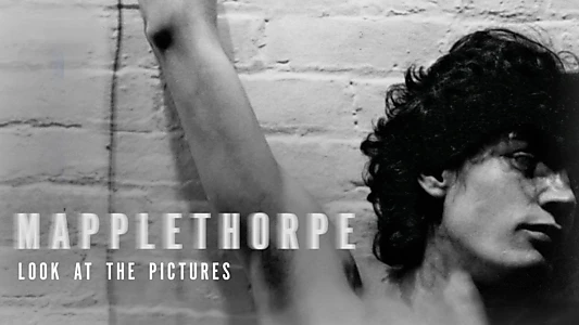 Mapplethorpe: Look at the Pictures