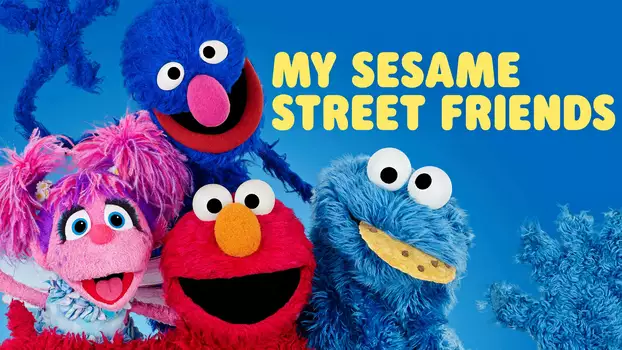 My Sesame Street Friends