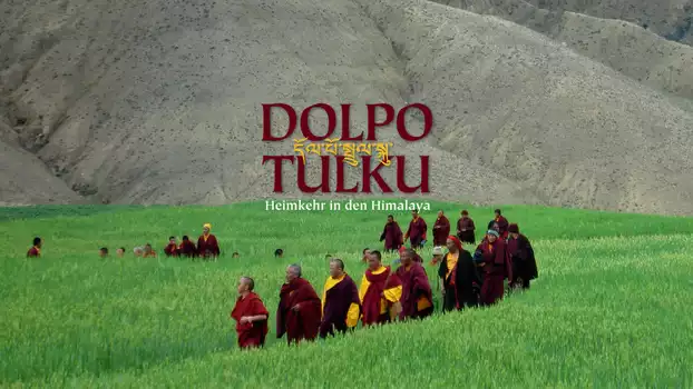 Dolpo Tulku - Heimkehr in den Himalaya