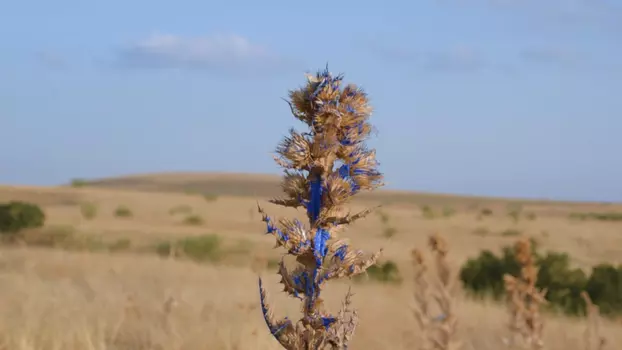 Azul la mancha