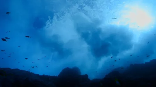 Pristine Seas: The Power of Protection