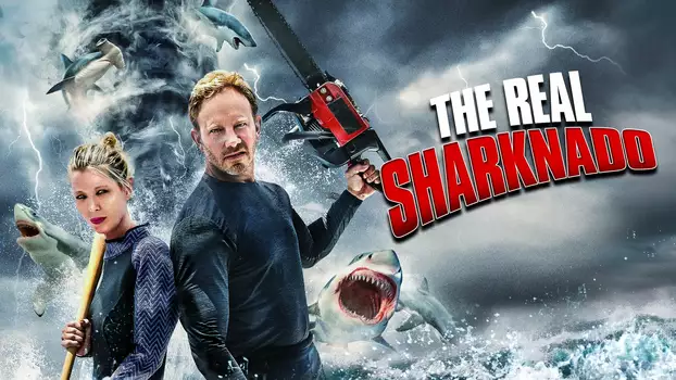 The Real Sharknado