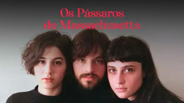 Os Pássaros de Massachusetts