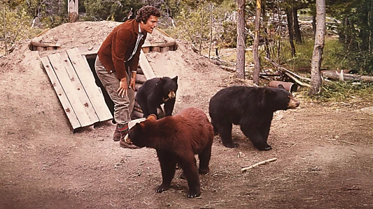 The Bears and I