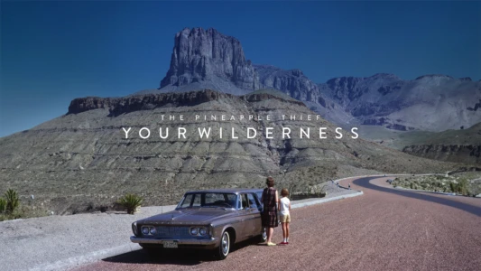 The Pineapple Thief: Your Wilderness