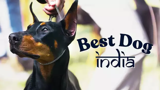 Best Dog India