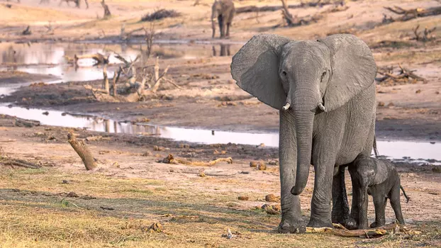 Botswana