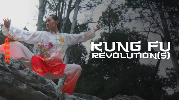 Kung fu Révolution(s)