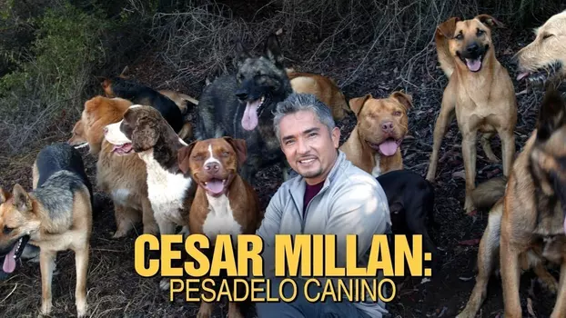Cesar Millan: Doggie Nightmares