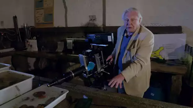 The Making Of David Attenborough's Light On Earth