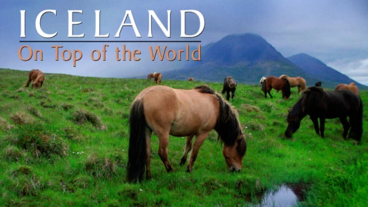 Iceland: On Top of the World