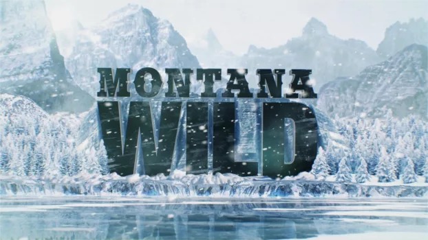 Montana Wild