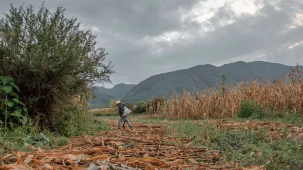 Seeds, the legacy of the land