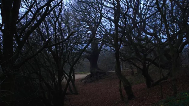 Sideworld: Haunted Forests of England