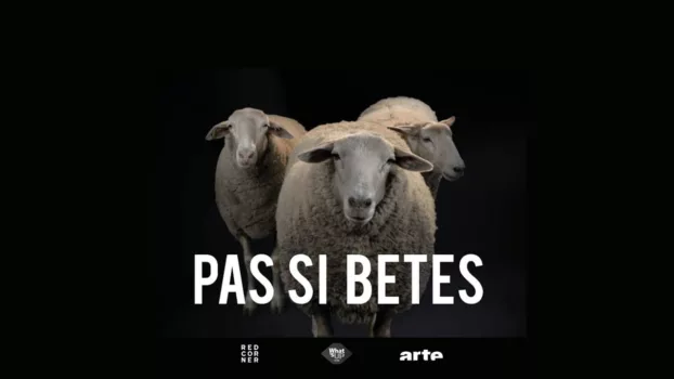 Pas si bêtes!