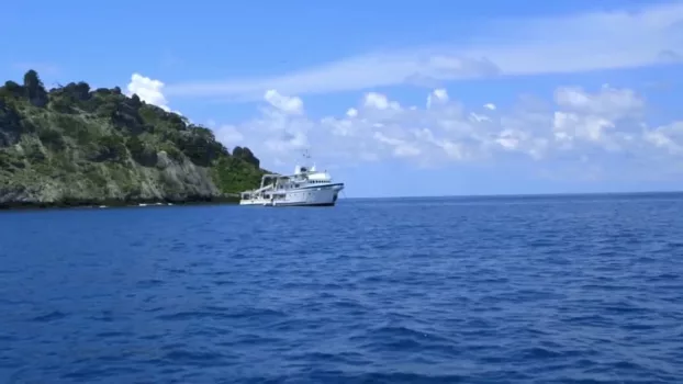 Shark Land: Welcome to Cocos Island