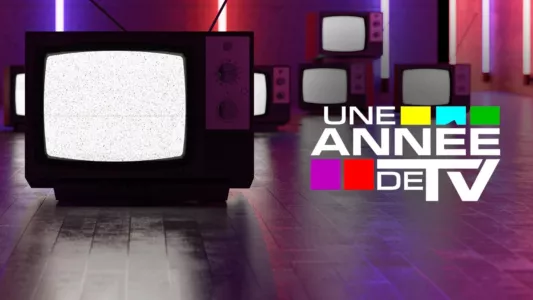 Une année de TV