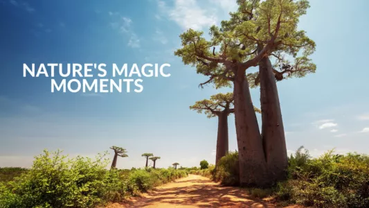 Nature's Magic Moments