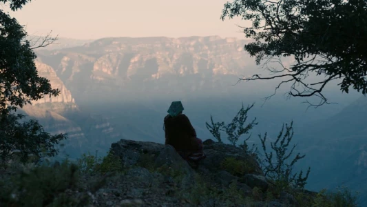 The Woman of Stars and Mountains